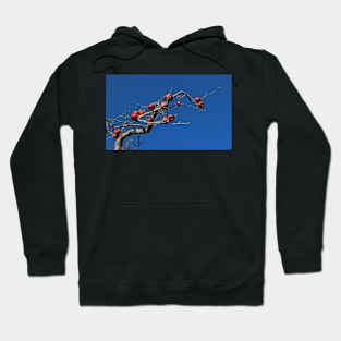 Red Apples Hanging On Hoodie